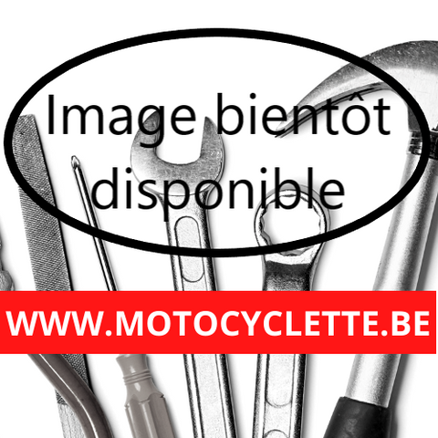 Nettoyant freins DAN - 500 ML